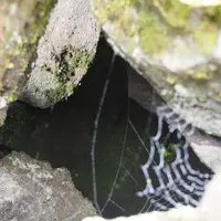 鬼押出し園の写真・動画_image_316973