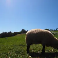 まきば公園の写真・動画_image_317048