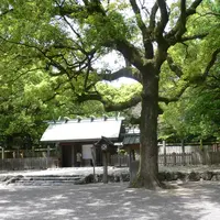 熱田神宮の写真・動画_image_31973