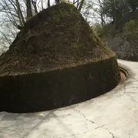 大野山の写真・動画_image_32117