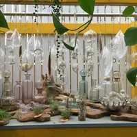 Solso Farmの写真・動画_image_32120