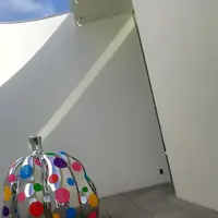 草間彌生美術館の写真・動画_image_321457