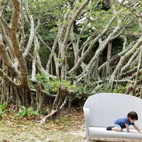 フサキビーチリゾート　ホテル＆ヴィラズの写真・動画_image_323569