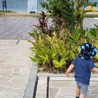 フサキビーチリゾート　ホテル＆ヴィラズの写真・動画_image_323573