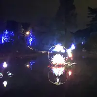 GRAX PREMIUM CAMP RESORT 京都るり渓の写真・動画_image_326068