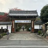 西教寺の写真・動画_image_326106