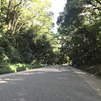 明治神宮の写真・動画_image_330448