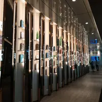 Suvarnabhumi International Airport（スワンナプーム国際空港）の写真・動画_image_333102