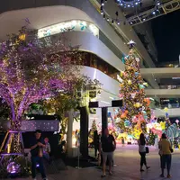 ワットポー・マッサージスクール スクムビット校 直営店39の写真・動画_image_333103