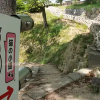 千光寺公園の写真・動画_image_33382