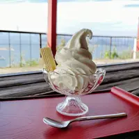 屋島展望台の写真・動画_image_334748