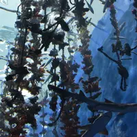 仙台うみの杜水族館の写真・動画_image_334802