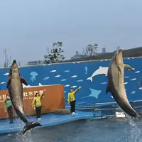 仙台うみの杜水族館の写真・動画_image_334805