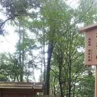 伊勢神宮内宮（皇大神宮）の写真・動画_image_335984