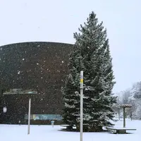 Steiff Museumの写真・動画_image_339409