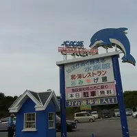 犬吠埼灯台の写真・動画_image_3411