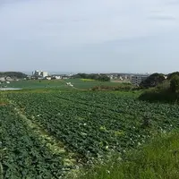 地球の丸く見える丘展望館の写真・動画_image_3413