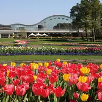 フローランテ宮崎の写真・動画_image_341461