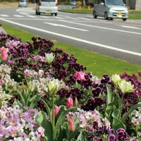 阿波岐原森林公園の写真・動画_image_341470