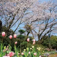 平和台公園の写真・動画_image_341477