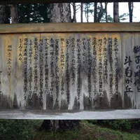 斗南ヶ丘の写真・動画_image_3427