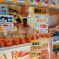 フルーツの生ジュースとギフトのお店 noma-nomaの写真・動画_image_342880