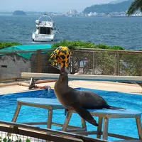 淡島マリンパークの写真・動画_image_3447