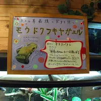 淡島マリンパークの写真・動画_image_3451