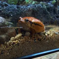 淡島マリンパークの写真・動画_image_3453