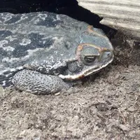 淡島マリンパークの写真・動画_image_3454