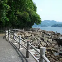 淡島マリンパークの写真・動画_image_3457