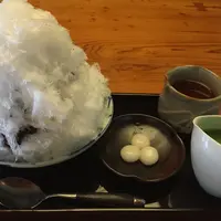 つぼみの写真・動画_image_34733
