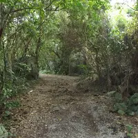 瀬底島の写真・動画_image_3492