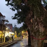 十分の写真・動画_image_349962