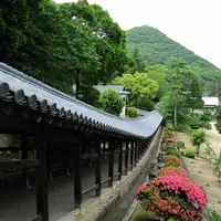 吉備津神社の写真・動画_image_3509