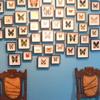 ベンの家の写真・動画_image_351491