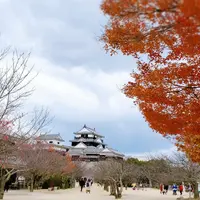 松山城の写真・動画_image_353390