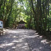 宗像大社の写真・動画_image_353594