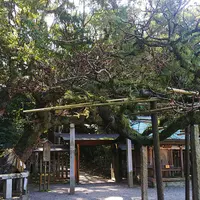 宗像大社の写真・動画_image_353596