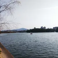 大濠公園の写真・動画_image_353598