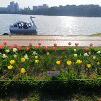 大濠公園の写真・動画_image_353599