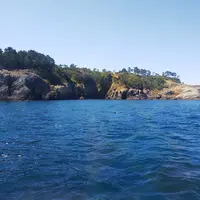 七ツ釜遊覧船イカ丸の写真・動画_image_353615