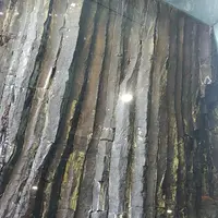 七ツ釜遊覧船イカ丸の写真・動画_image_353617