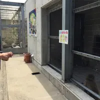 真教寺公園の写真・動画_image_35664