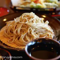 三分一湧水館の写真・動画_image_3611