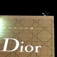 クリスチャンディオール　銀座の写真・動画_image_36127