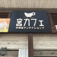 宮カフェの写真・動画_image_36171