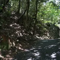 岩国城の写真・動画_image_3619