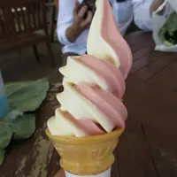 ろまんちっく村の写真・動画_image_36256