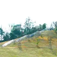 イモ山公園プールの写真・動画_image_36259
